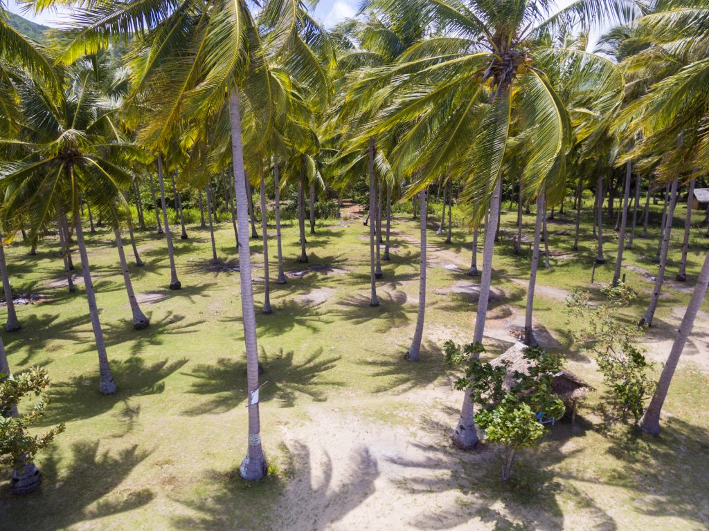 las cinco mejores playas de mundo solitarias - nagtabon