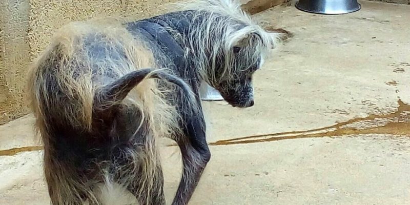 las cinco mejores playas de mundo solitarias