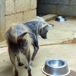 las cinco mejores playas de mundo solitarias